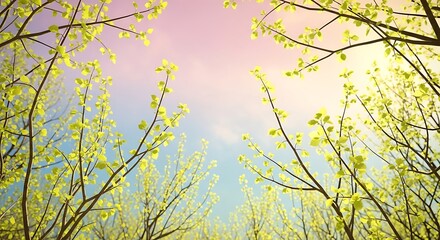 Random pattern of thin and thick spring branches, light-green leaves glowing under sun, dreamy pastel sky, airy natural light, soft-focus realism, peaceful tone