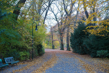 Charming Cobblestone Pathway in an Autumn Park Lined with Colorful Trees and Vivid Fallen Leaves, Beneath a Softly Lit Streetlamp