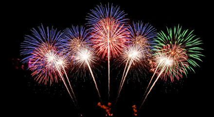 Fototapeta premium fireworks in the night sky