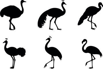 Fototapeta premium Exotic Tropical Birds Silhouette Pack. Ostrich, Flamingo, Emu, and Wildlife Vector Icon Set.