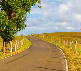 Rural Country Highway in Ranch Country, Molokai, Hawaii, USA