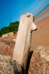 Close-up of weathered wood texture