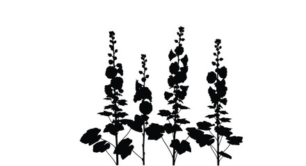Naklejka premium Silhouette of hollyhocks isolated on white background, creating a striking contrast