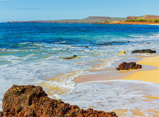 Hawaiian Monk Seal Swimming in The Surf on Kepuhi Beach, Molokai, Hawaii, USA