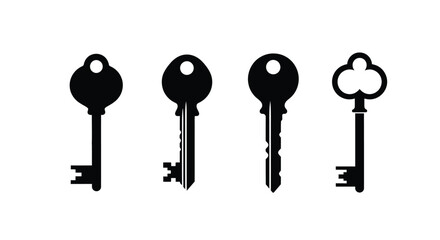 Illustration of four different key designs isolated on white background