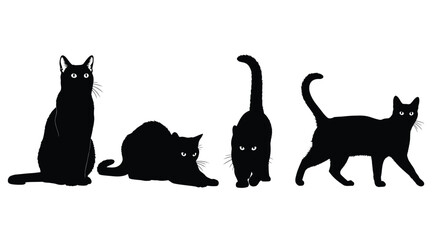 Four black cats in different poses isolated on white background