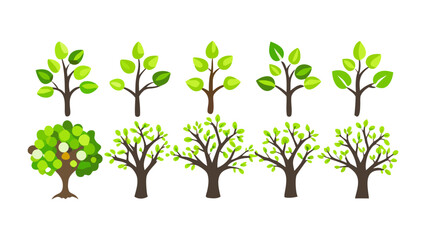 Obraz premium Diverse Trees Illustration: A collection of various tree illustrations, showcasing a variety of shapes and styles, bringing together the beauty of the natural world.