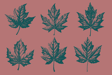 Autumn season vintage Maple leaves berries style vector illustration. hand-drawn vector style, warm orange color, clean flat texture, perfect for autumn wrapping paper