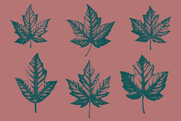 Fototapeta premium Vintage Maple leaves and berries leaf design. hand-drawn vector style, warm orange color, clean flat texture, perfect for autumn wrapping paper vector illustration. Eps 10