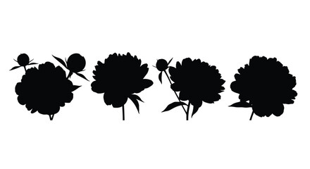 Four peony flower silhouettes isolated on white background, floral design