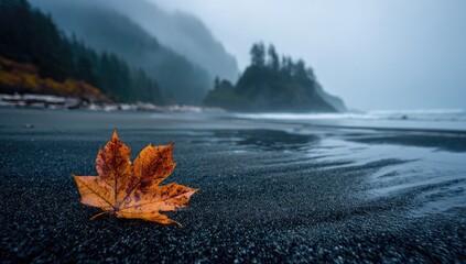 Autumnal Beach Scene with Fallen Leaf.