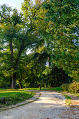 Autumn at Parco Sempione, Milan