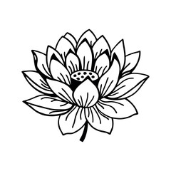 Elegant Lotus Flower Line Art Vector Illustration
