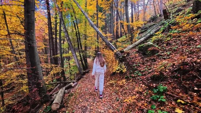 Sofia, Bulgaria - 10.20.2025. Young woman walking through a colorful autumn mountain forest in Vitosha Natural Reserve. Peaceful fall landscape with bright foliage, natural light. p2