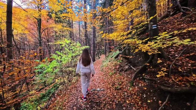 Sofia, Bulgaria - 10.20.2025. Young woman walking through a colorful autumn mountain forest in Vitosha Natural Reserve. Peaceful fall landscape with bright foliage, natural light. p3