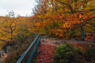 Beautiful autumn colors at Soderasen National Park in Sweden