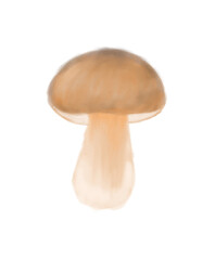 mushroom isolated on white