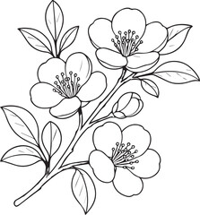 Vector illustration of a beautiful ivy flower bouquet, hand-drawn coloring book of artistic, blossom flowers ivy isolated on a white background, sketch art leaf branch botanic collection adults
