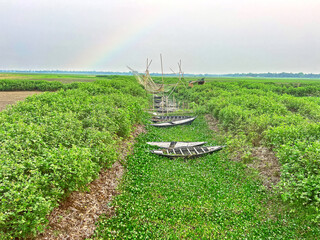 Green field with bamboo bridge and rainbow on horizon