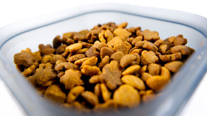 Dry pet food close up, cat kibble pile in gray plastic bowl isolated on white background