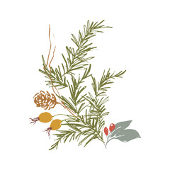 Whimsical Christmas floral card of berries, pine cone and branch. Hand-drawn vintage poster isolated on white background. Illustration for design, print, fabric or background.