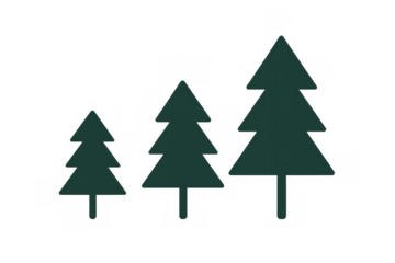 Spruce trees illustration in a simple flat design style on a transparent background, depicting nature and environmental themes