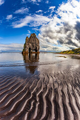Drinking elephant at low tide.