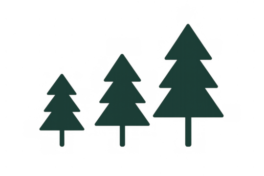 Spruce trees illustration in a simple flat design style on a transparent background, depicting nature and environmental themes