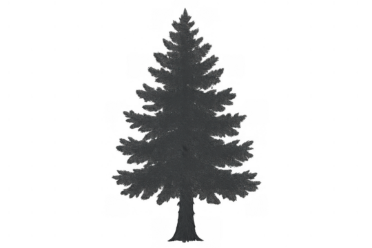 Pine tree silhouette forming a dark overlay shadow with transparent background, nature element for design - Powered by Adobe