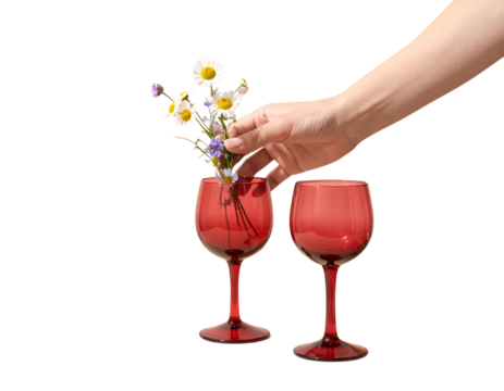 Delicate Hand Pouring Bouquet of Wildflowers into Red Wine Glasses, Minimalist Aesthetic, Isolated on Transparent Background PNG