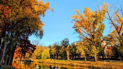 Autumn in the park