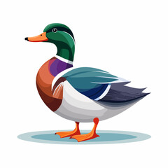 2D animation style duck isolated on white