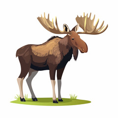 2D animation style moose isolated on white