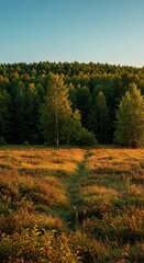 Picturesque view of undulating terrain, showcasing vibrant natural contours and dense vegetation beneath a clear, open sky ,shadows ,nature ,contours