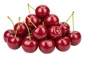 Isolated stack of fresh dark red cherries with green stems still attached; seasonal fruit