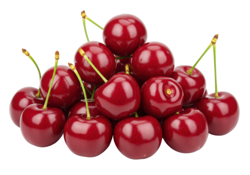 Isolated stack of fresh dark red cherries with green stems still attached; seasonal fruit