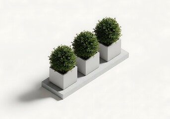 Three potted green boxwood plants on a concrete planter base