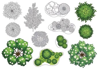 Top view of various trees and bushes isolated on white background