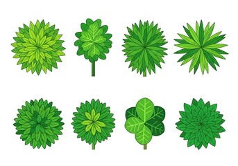 Set of eight green trees viewed from top isolated on white background