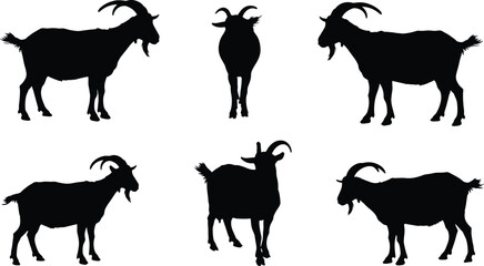 goat, silhouette, animal, vector, livestock, farm, horn, mammal, black, standing, pose, cad, drawing, flat, illustration