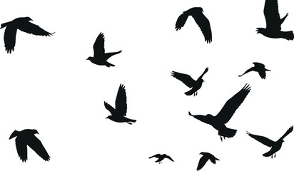 Silhouetted birds fly across a gradient sky with clouds in a peaceful scene