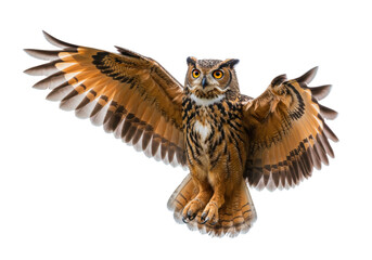 Isolated Eurasian eagle owl flying, wings spread in flight, looking straight at the viewer