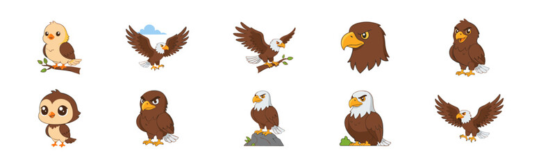Obraz premium Cartoon Illustrations of Eagles and Hawks Collection