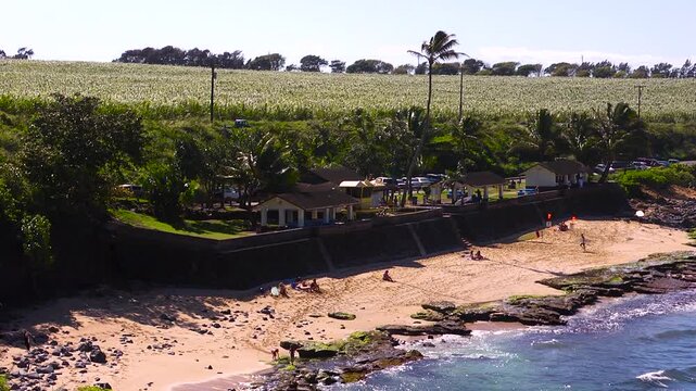Hookipa beach park, Maui Hawaii