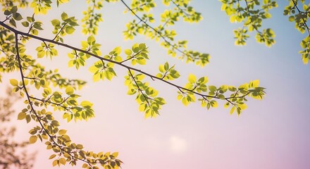 Delicate short and long branches reaching across pastel sky, light-green spring leaves glowing in sunlight, dreamy soft focus, peaceful natural tone, high realism