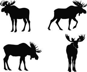 moose, silhouette, animal, wildlife, deer, elk, antlers, forest, nature, vector, cad, drawing, flat, black, illustration
