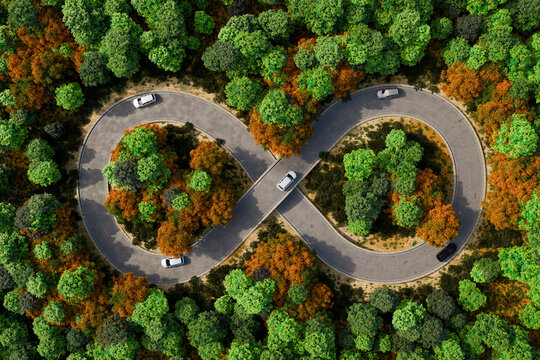 Infinity loop road crosses forest in 3D view