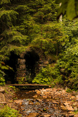 In the woods, there is a small bridge that crosses over a stream