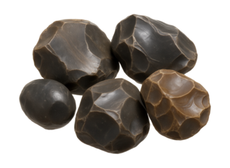 Chert nodules featuring conchoidal fractures and a glossy sheen.