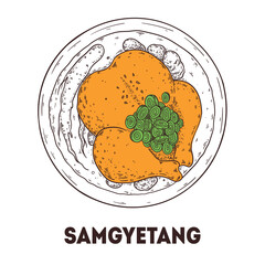 Samgyetang chicken soup sketch. Korean food. Hand drawn vector illustration. Top view.